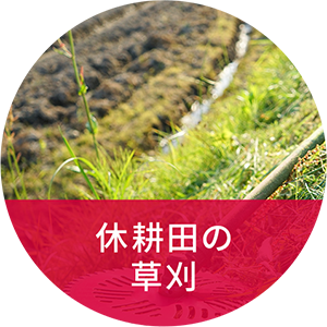 休耕田の草刈り